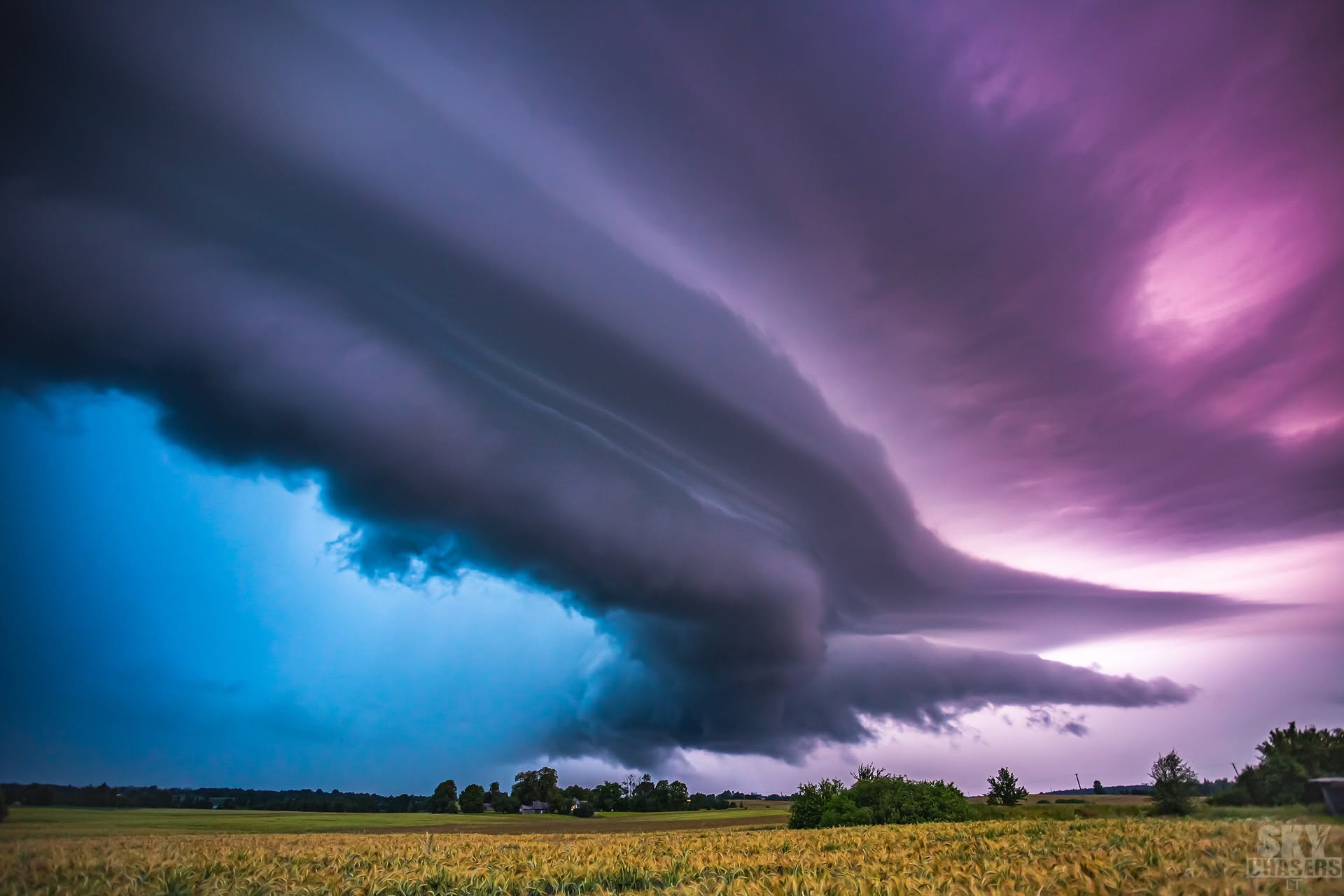 Purple Supercell