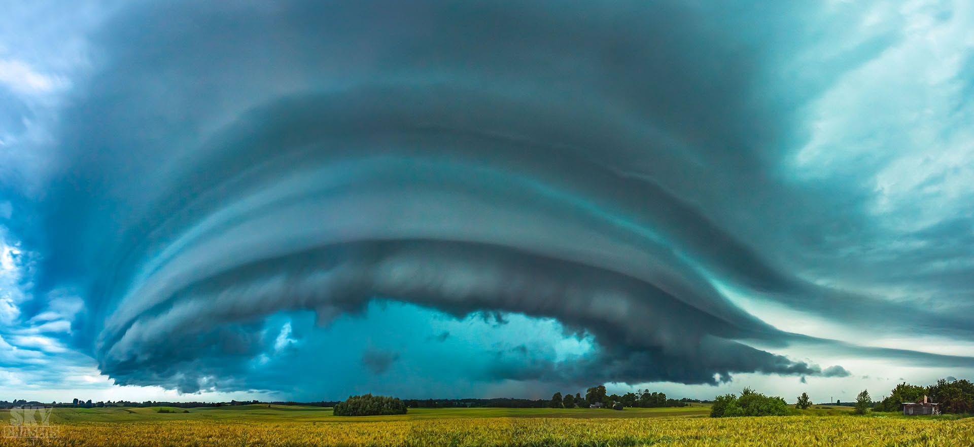 Arcus