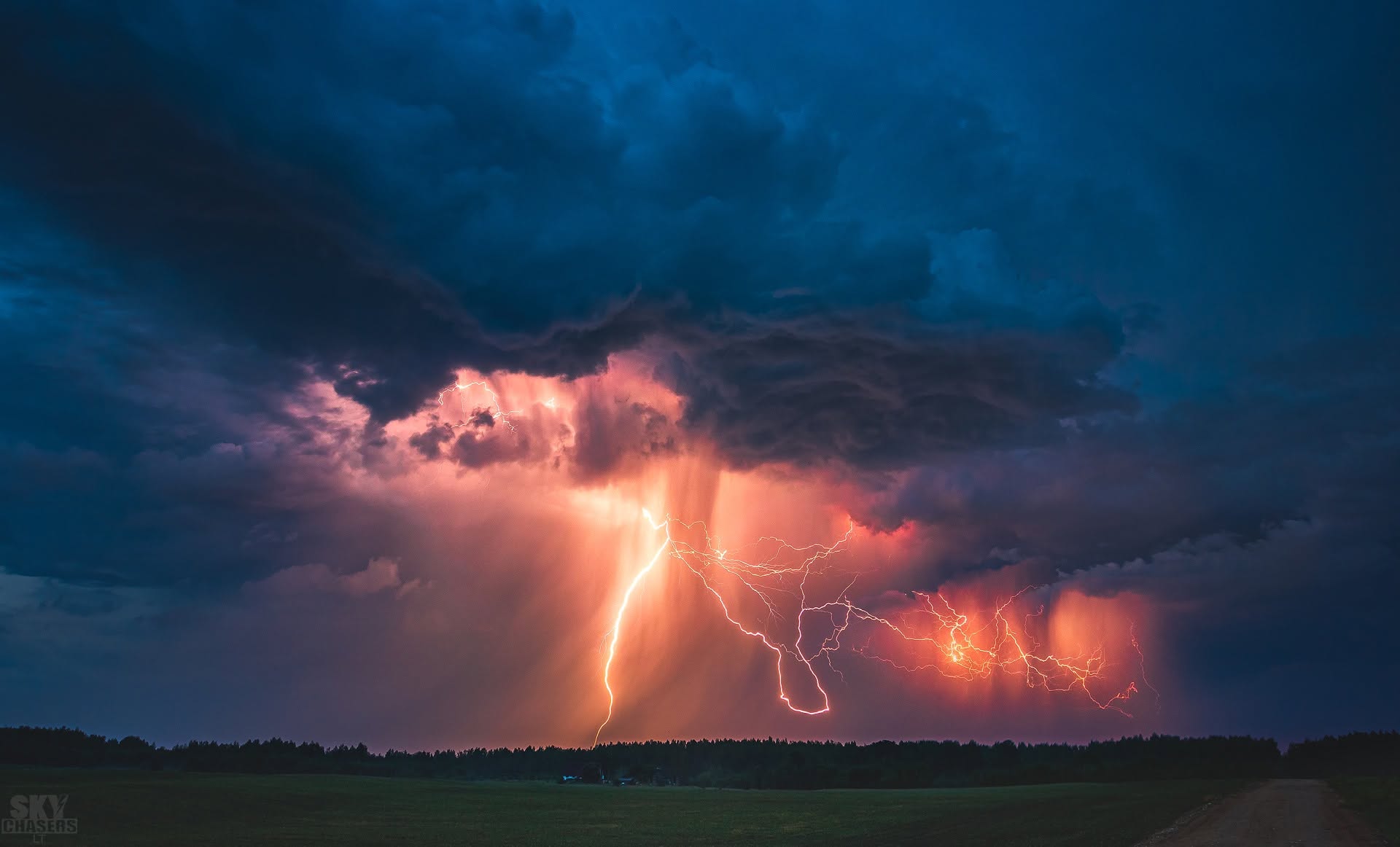 Electric Night