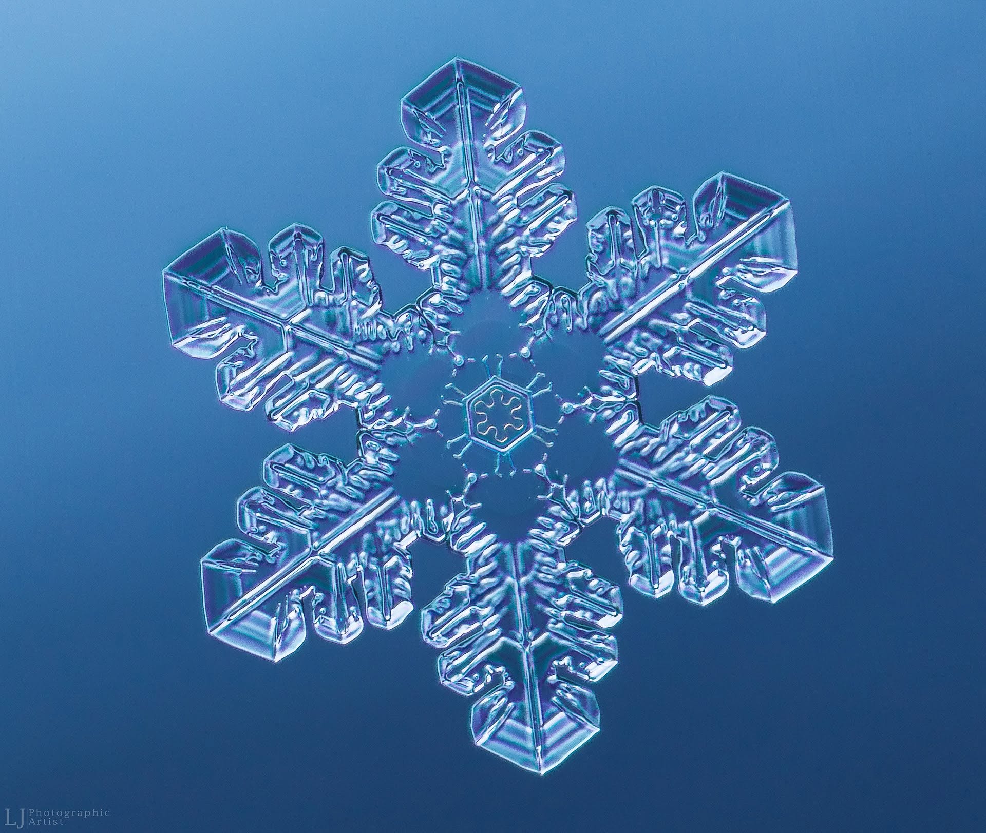 Stellar Dendrite
