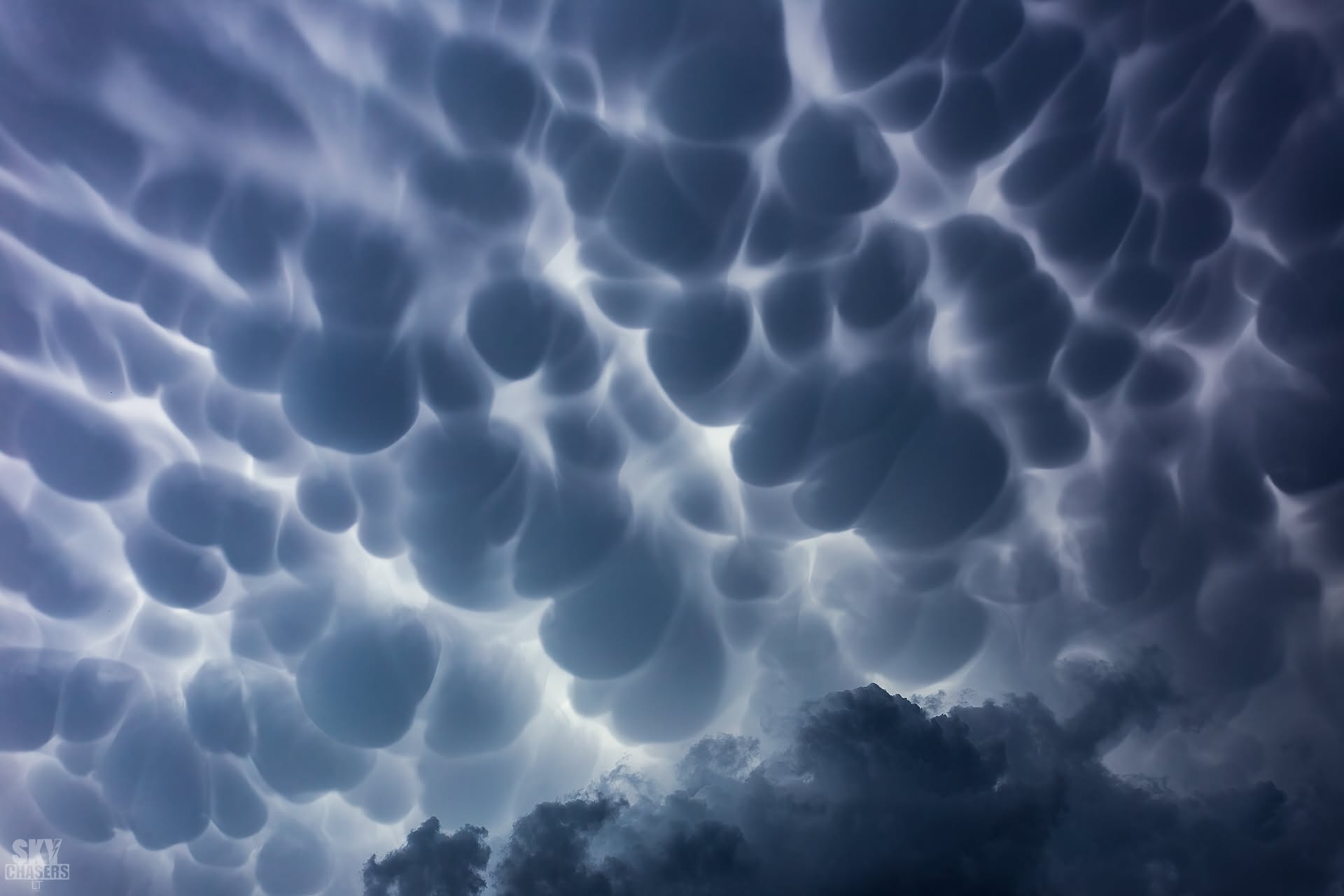 Mammatus