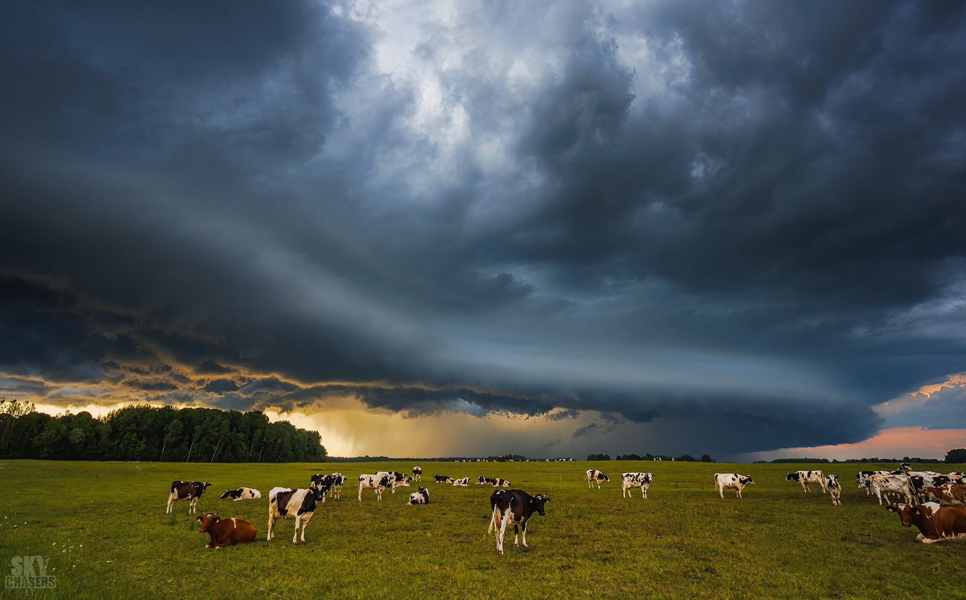 Storm Front