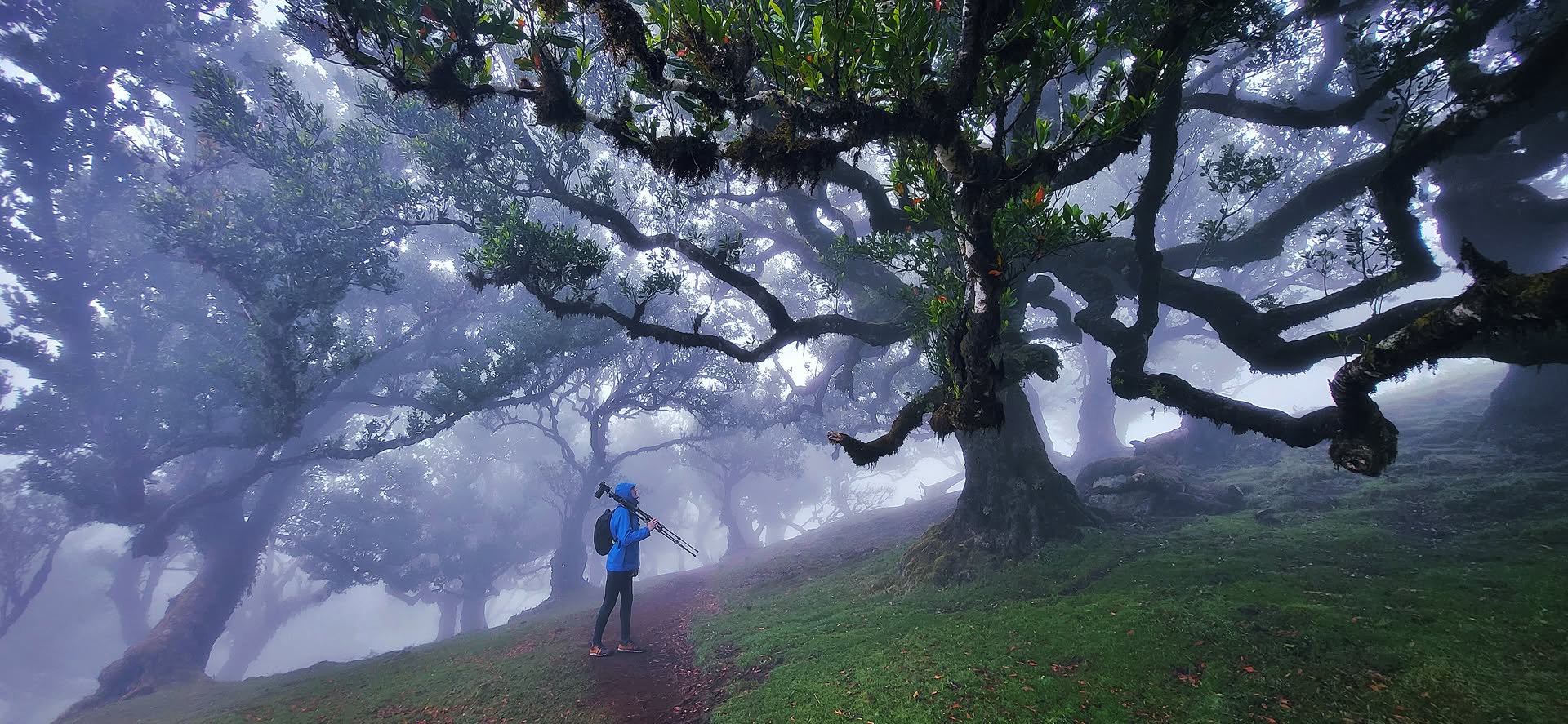 Paukščių Tako panorama virš ežero — nakties fotografija
