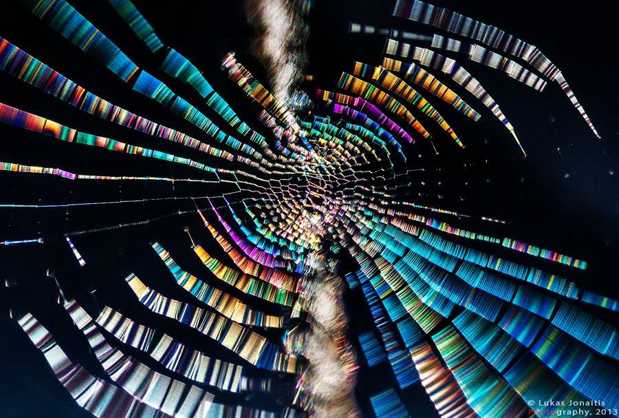 Diffraction Web