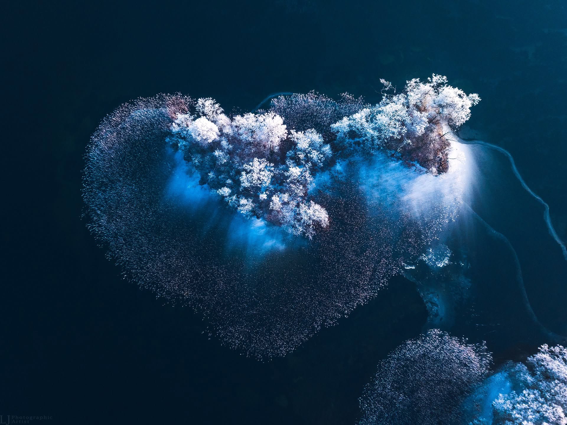 Širdelės formos salelė Trakų ežere su šerkšnu padengtais medžiais, fotografuota dronu