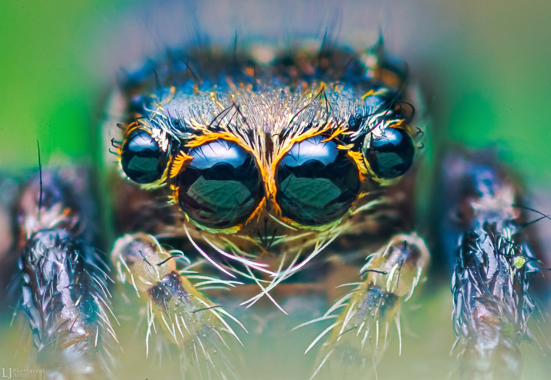 Golden Eyes