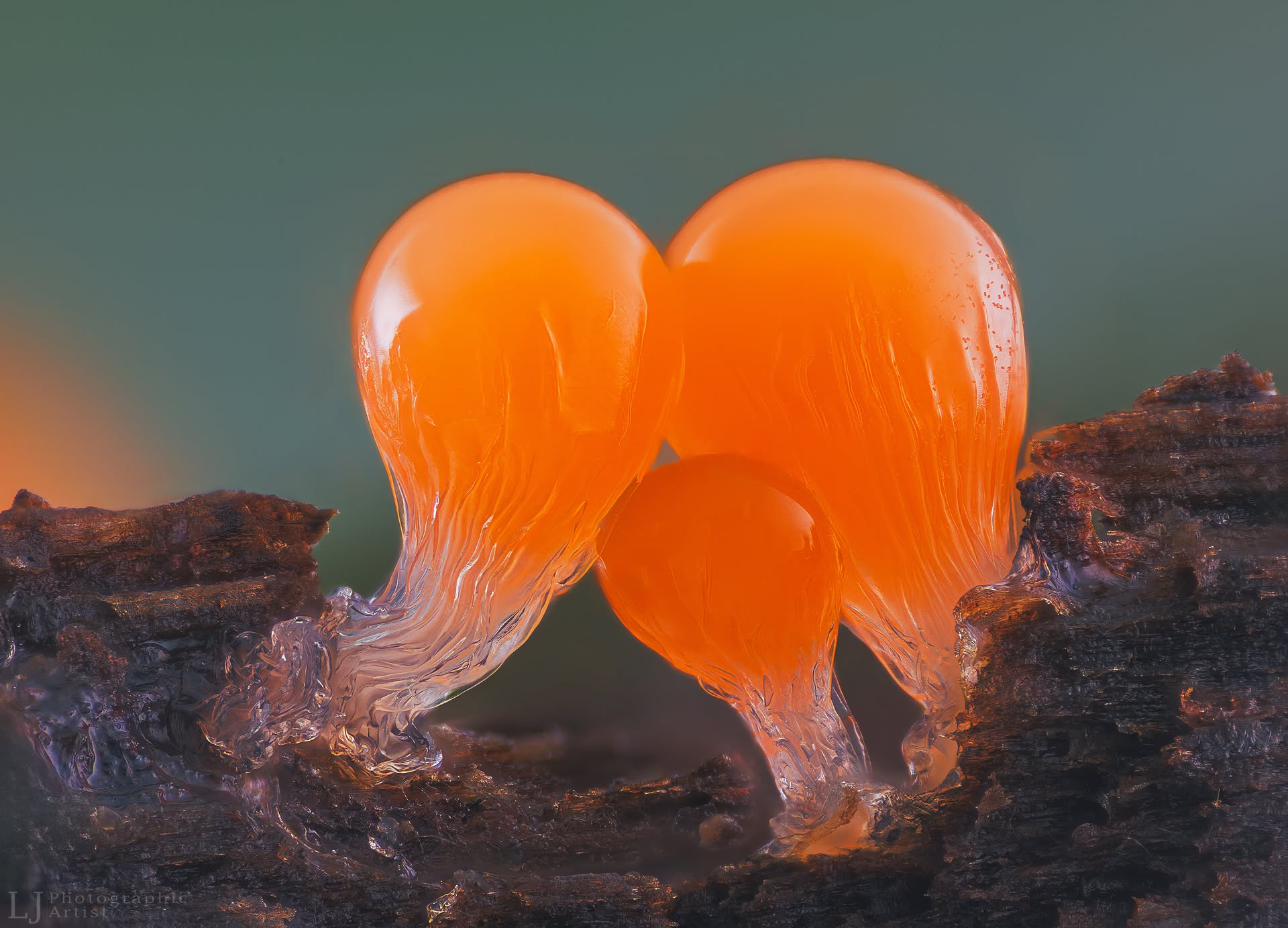 Amber Heart